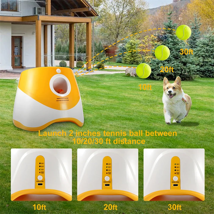 Mini Ball Thrower for Small and Medium Dogs